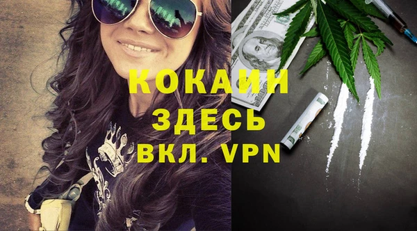 винт Алзамай