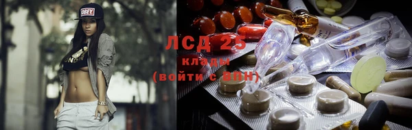 винт Алзамай